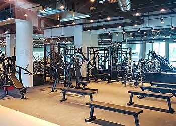 Miami Gyms Miami Strong Gym