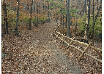 Stamford Hiking Trails Mianus River Park