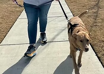 McKinney Dog Walkers Michelle At Your Service Pet Sitting & Dog Walking, LLC