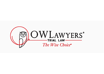 Dallas Divorce Lawyers Michelle May O'Neil - OWLAWYERS®