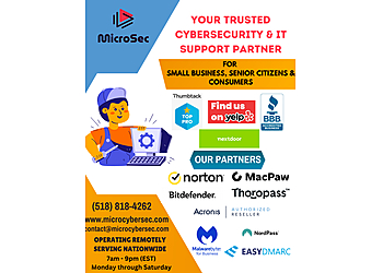 Albany It Services MicroSec