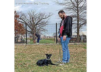 Baltimore Dog Training Mid-Atlantic Dog Training