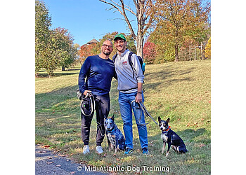 Baltimore Dog Training Mid-Atlantic Dog Training