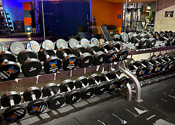 New York Gyms Mid City Gym