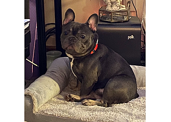 Waterbury Veterinary Clinics Middlebury Animal Hospital Associates LLC