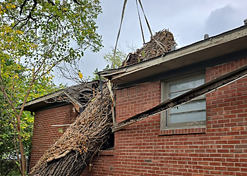 Tulsa Tree Services Midtown Tree Service