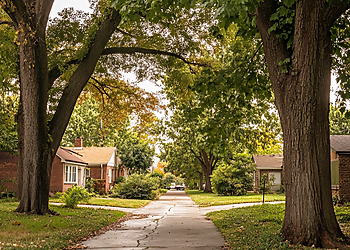 Tulsa Tree Services Midtown Tree Service