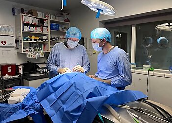 Salt Lake City Veterinary Clinics Midvalley Animal Clinic