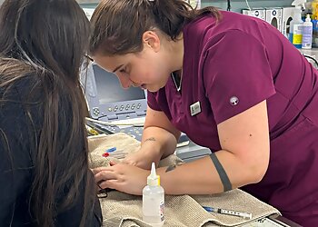 Chesapeake Veterinary Clinics Midway Veterinary Hospital