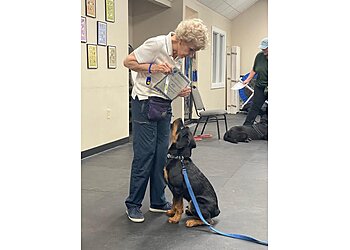 Chesapeake Veterinary Clinics Midway Veterinary Hospital