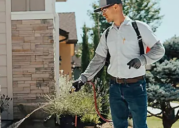 Cedar Rapids Pest Control Companies Midwest Pest Control