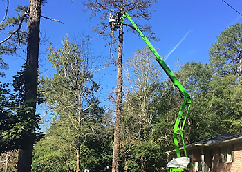Athens Tree Services Mighty Fine Tree Care