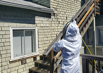 Vallejo Pest Control Companies Mighty Men Pest Control