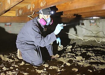 Santa Clara Pest Control Companies MightyMite Termite