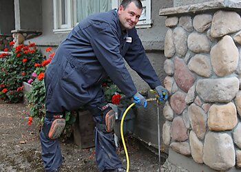 Santa Clara Pest Control Companies MightyMite Termite