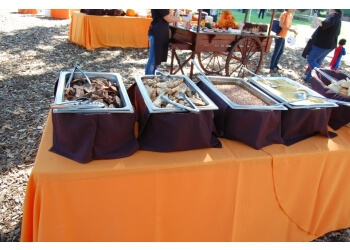 Mike's Branding Iron BBQ and Catering - Modesto, CA Caterers - Buffet Image