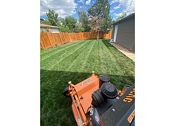 Denver Lawn Care Services Mile High Grass Cuts