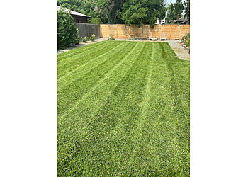 Denver Lawn Care Services Mile High Grass Cuts