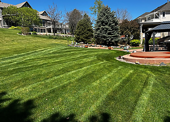 Mile High Grass Cuts - Lakewood, CO Lawn Care Services