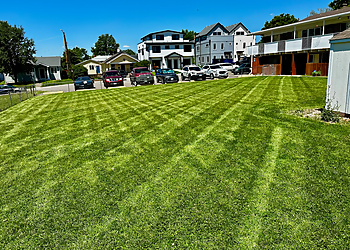 Mile High Grass Cuts Mile High Grass Cuts - Lakewood, CO Lawn Care Services