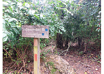 Roanoke Hiking Trails Mill Mountain Park