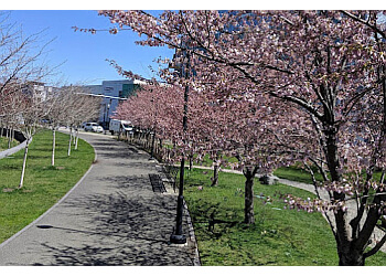 Stamford Public Parks Mill River Park