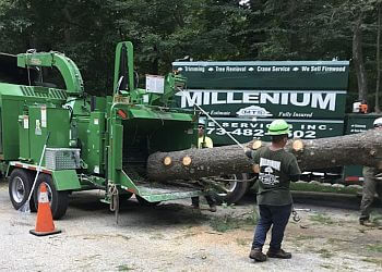 Millenium Tree Service & Landscaping Newark Tree Services