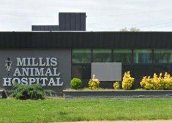 MillisAnimalHospital StLouis MO