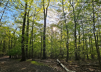 Mills Reservation County Park - Elizabeth, NJ Hiking Trails - Attraction Image