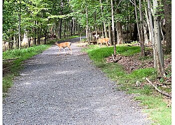 Paterson Hiking Trails Mills Reservation