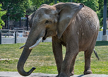 Milwaukee Places To See Milwaukee County Zoo