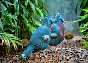 Milwaukee Places To See Milwaukee County Zoo