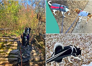 Milwaukee Dog Walkers Milwaukee Paws Pet Care