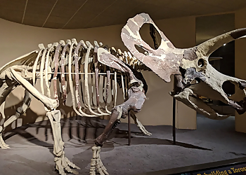 Milwaukee Museums Milwaukee Public Museum