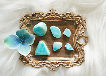 Madison Gift Shops Mimosa Books & Gifts