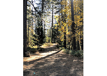 Roseville Hiking Trails Miners Ravine Trail