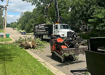 Minneapolis Tree Services Minnesota Tree Experts