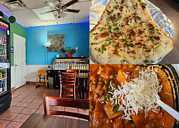 Gainesville Vegetarian Restaurants Mint Indian Cuisine