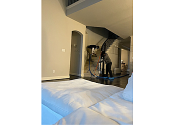 Irving Carpet Cleaners Miracle Steam