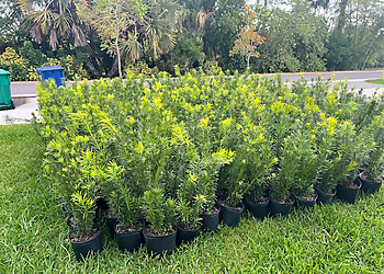 Miramar Landscaping Companies Miramar Nursery, LLC