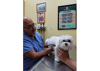 Miramar Veterinary Clinics Miramar West Animal Hospital