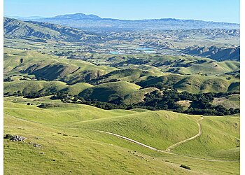 Fremont Hiking Trails Mission Peak Regional Preserve