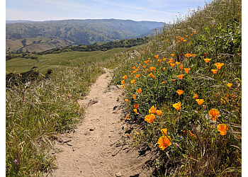 3 Best Hiking Trails in Fremont, CA - ThreeBestRated