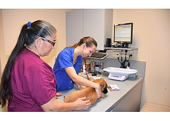 McAllen Veterinary Clinics Mission Veterinary Hospital