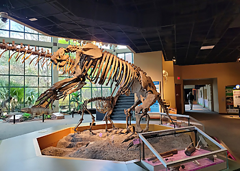 Jackson Places To See Mississippi Museum of Natural Science