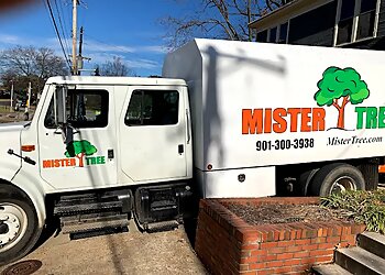 Memphis Tree Services Mister Tree Service