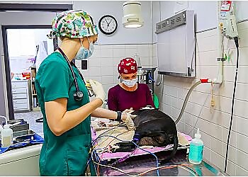 Nashville Veterinary Clinics Mobley Veterinary Clinic