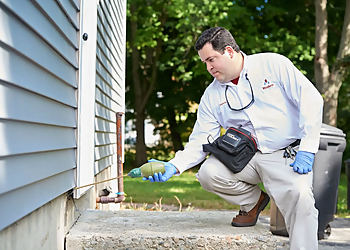 Modern Pest Services - Providence, RI Pest Control Companies - Field Work Image