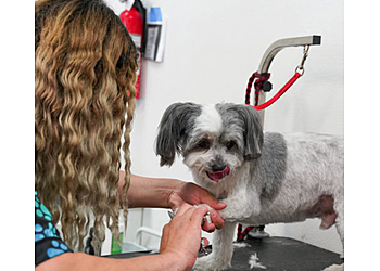 El Monte Pet Grooming Modern Pooch Dog Washing and Grooming LLC
