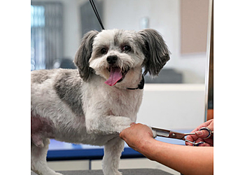 El Monte Pet Grooming Modern Pooch Dog Washing and Grooming LLC